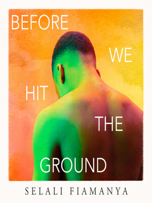 cover image of Before We Hit the Ground